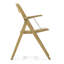 Westminster Teak Solid Wood Patio Folding Chair