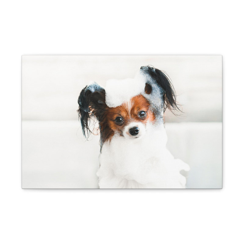 «Cute Papillon Bath», art mural, H 12 po x l 18 po