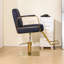 Fauteuil de coiffeur pour salon de beauté-105516040