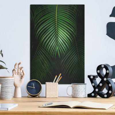 «Tropical IV» par Dennis Frates