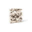 Cast Naturals Square Root Tile Wall Décor