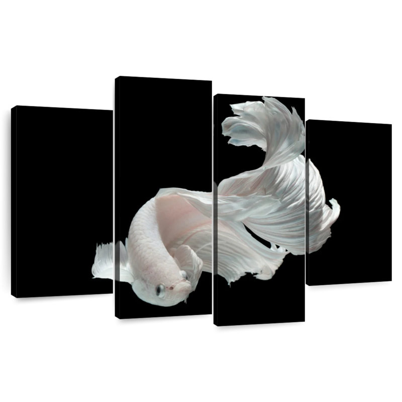 Poisson Betta blanc Brampt, H 22 po x l 36 po
