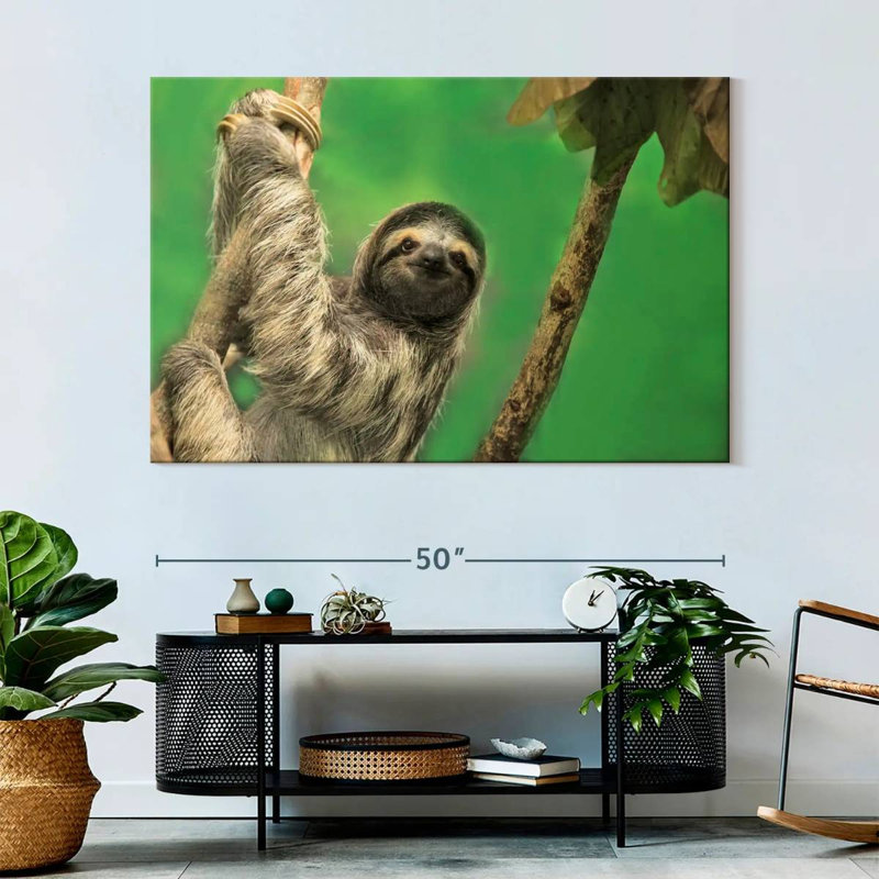 Clinging Sloth, 34" H x 51" W