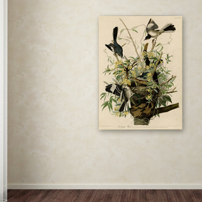 «Mocking Birds and Snake II» par John James Audubon, reproduction sur toile