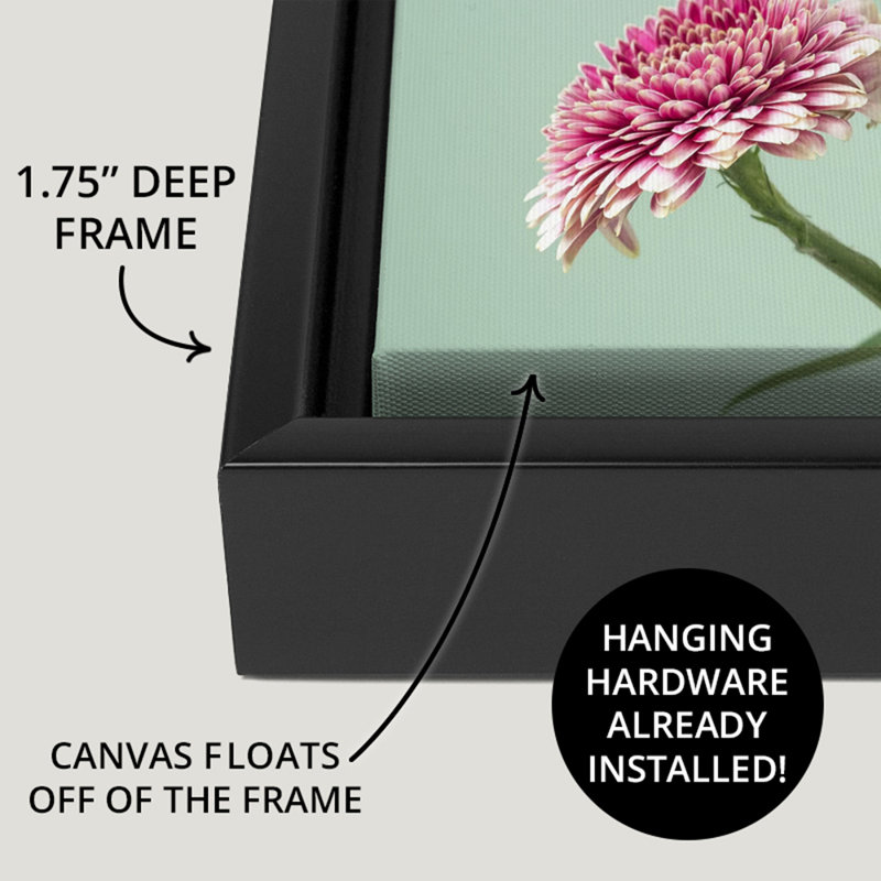 Art mural sur toile botanique, Toile avec cadre noir, H 30 po x l 40 po x P 1,75 po