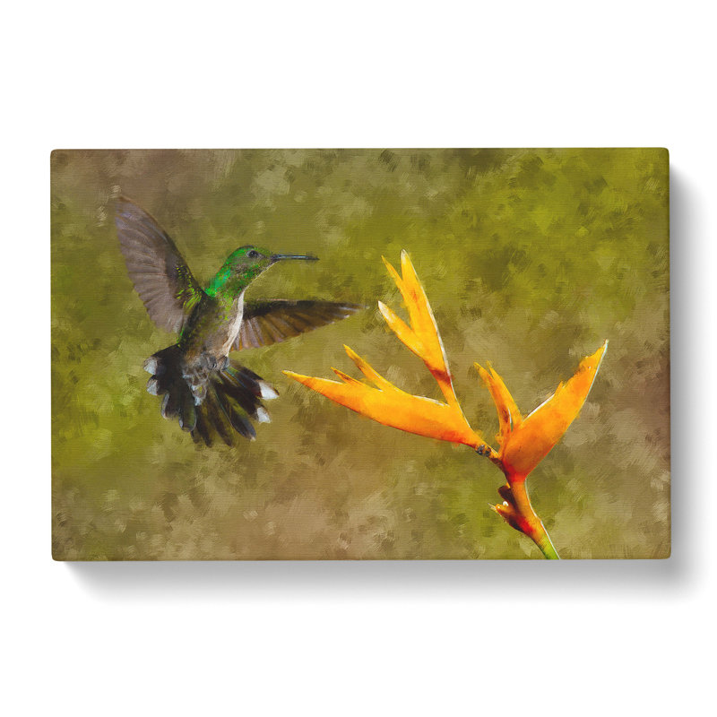Hummingbird By A Flower - Wrapped Canvas Painting, 60cm H x 91cm W x 3cm D
