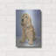 "Tessa" par Janet Pidoux-434040917