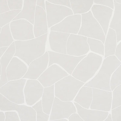 Schumacher x Porter Teleo Filigree Wallpaper