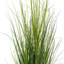  Herbe pour cheveux 48 po-2022903642