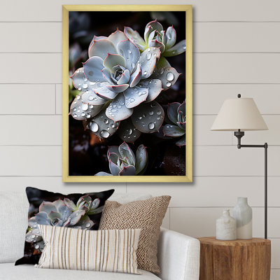 Bleu succulent explosion