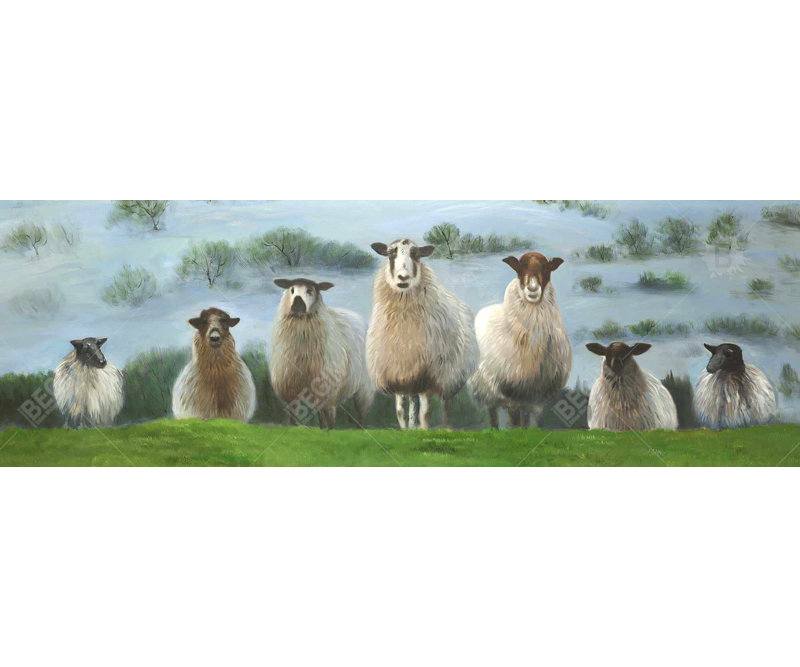 " Flock Of Sheep "