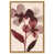 Gold Frame is unavailable