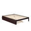 Lit plateforme robuste en bois massif avec lit gigogne Aayanna-447822423-448667732
