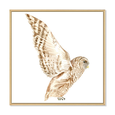 Portrait of a Barn Owl III - reproduction d'art sur toile traditionnelle