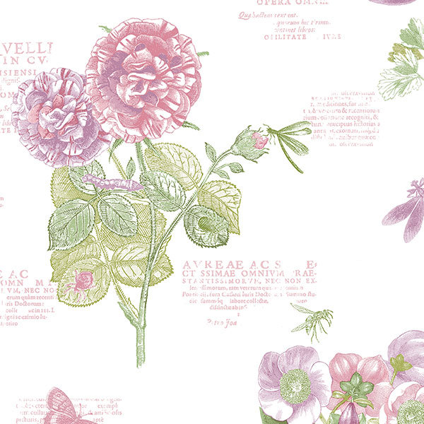 Papier peint floral botanique 32,7 pi x 20,5 po Bywell, Rose / mauve / lime