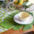 4 PIece Tropical Green Palm Placemats