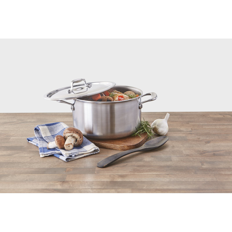 NUCU Stainless Steel Stock Pot, 9.5 Qt.