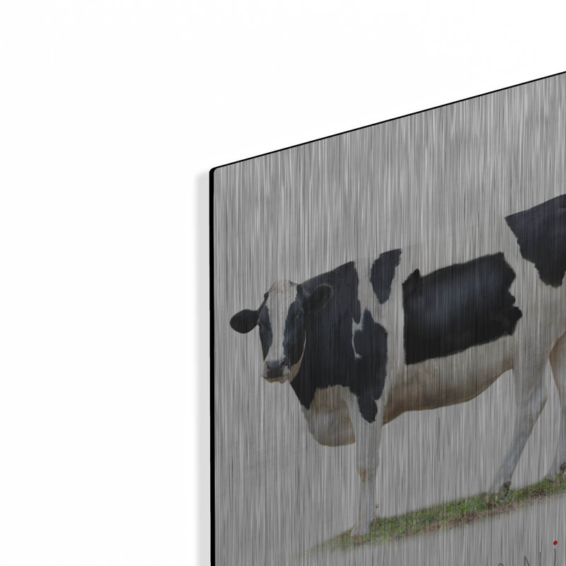  «Cow State Pa» par John Hovenstine, art mural en métal, 16 po x 24 po, H 24 po x l 16 po