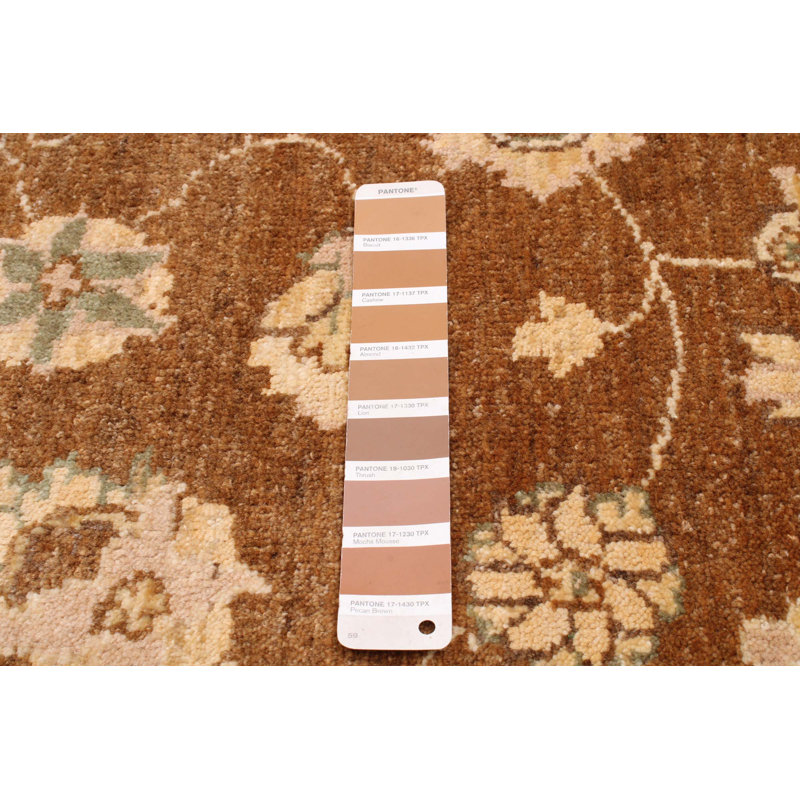 Tapis unique en laine noué à la main 4 pi 9 po x 6 pi 5 po nouvel âge Cybil en beige / brun / crème