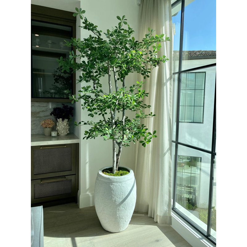 8 Ft Artificial Black Olive Tree with Real Wood Trunk – Lifelike Faux Indoor Floor Plant for Home or Office Decor