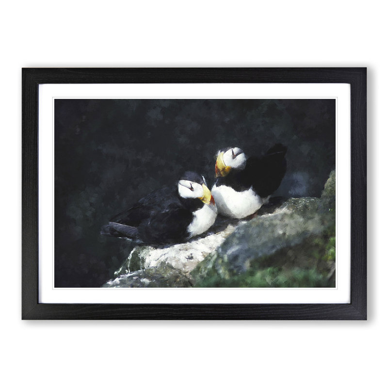 Atlantic Puffin Birds Vol.4 - Picture Frame Graphic Art, 48cm H x 65cm W x 2cm D, Black Framed
