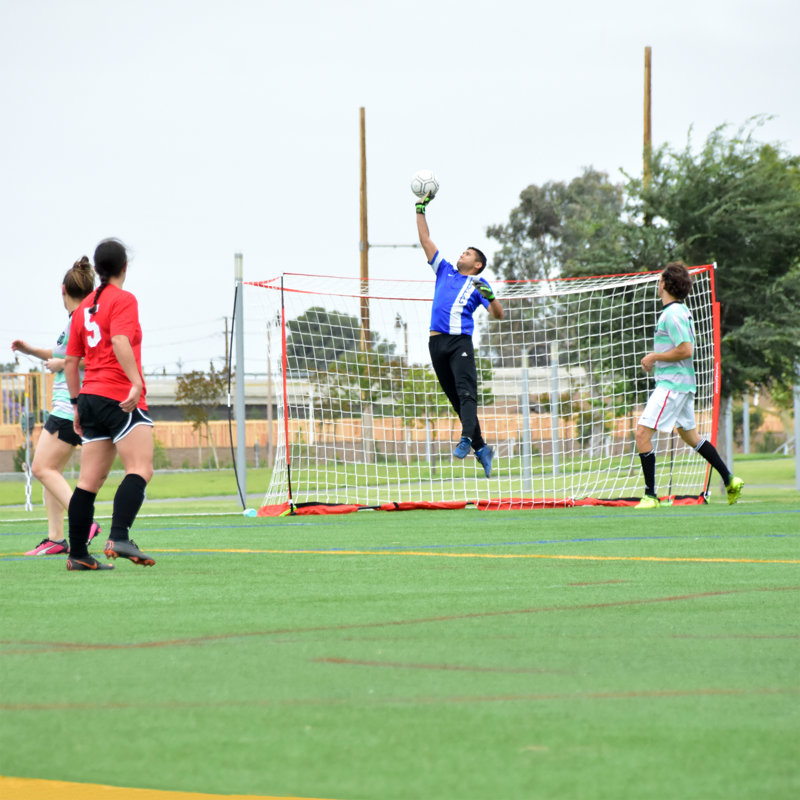 Ensemble complet de but de soccer d'élite 12 pi
