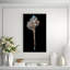Shell Study I Print by Harold Davis-26939026