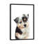 Chiot berger australien - reproduction d'art-53045653-53045655-53045662