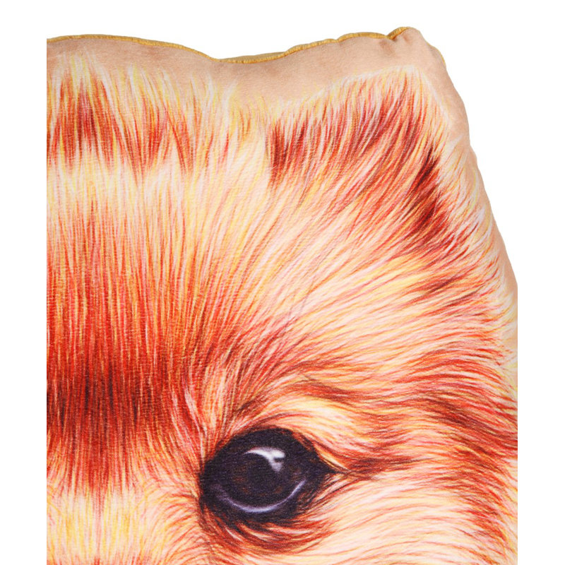 Throw Pillow, Pomeranian