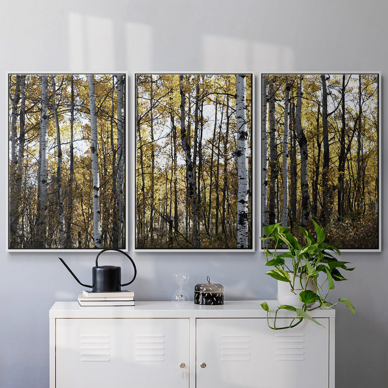 Sunny Grove - Toile encadrée multi-pièces, H 36 po x l 75 po x P 2 po, Blanc