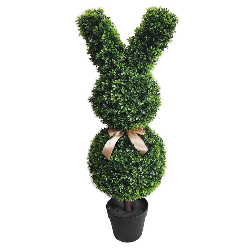Andaiye 90cm Plant in Pot
