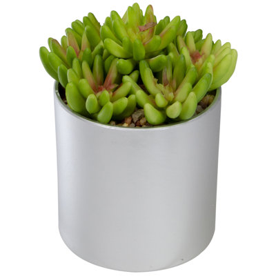 4.75'' Faux Succulent Plant Plant in Pot