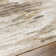 Darsie Abstract Area Rug