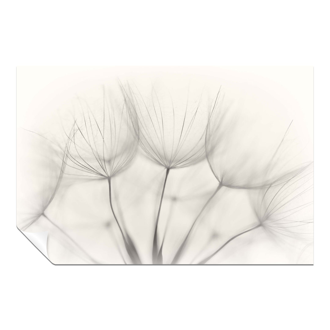 Panther Print Fine Art Prints Soft Dandelion Flowers Close Up Artistic Unframed Poster, Pictures For Home Walls, Bedroom, Living Room & Bathroom Decor