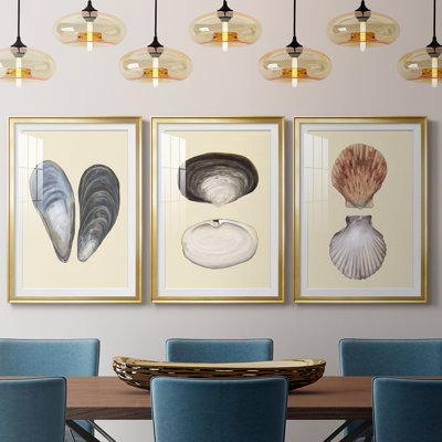 Coquilles bivalves I - Impression sur mesure encadrée de qualité supérieure - 3 pièces