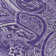 Paisley Indoor / Outdoor Rug