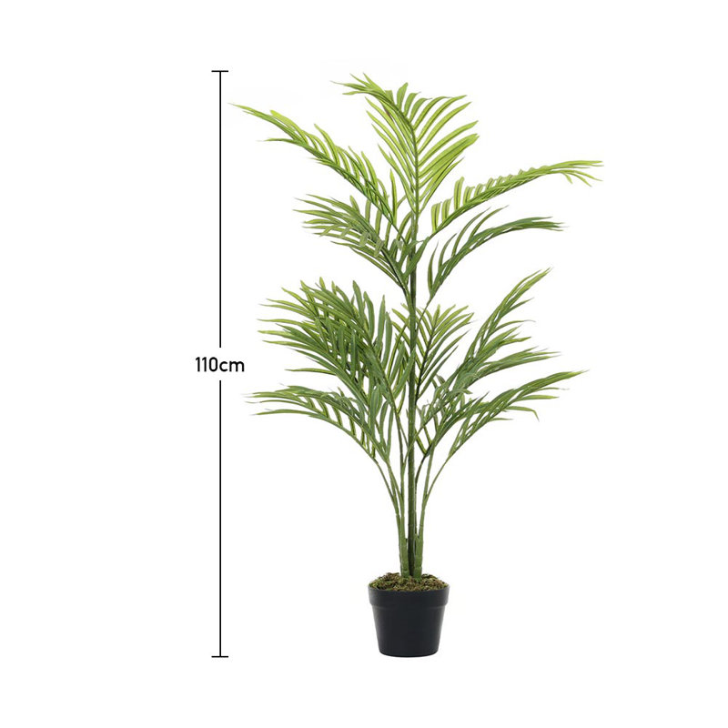 110cm Plant