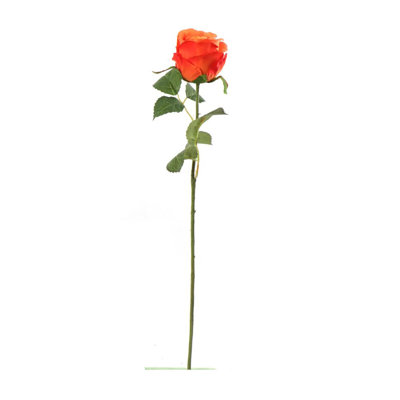Tige rose 20 po - paquet de 12