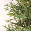 8.5" H Green Realistic Artificial Fir Christmas Tree with 1000 Lights LED Lights-1704475755