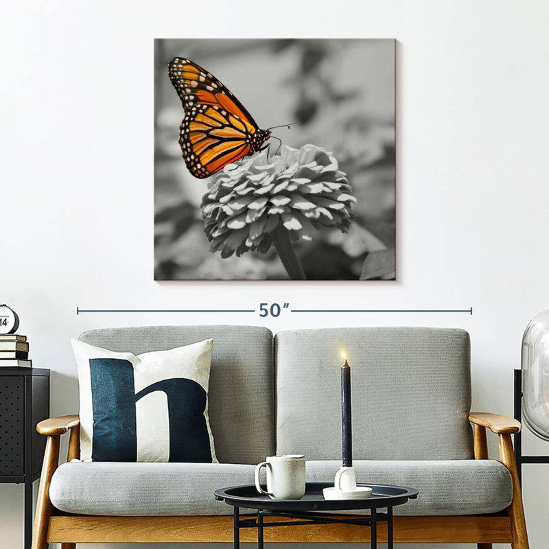 Papillon Brampt, H 30 po x l 30 po