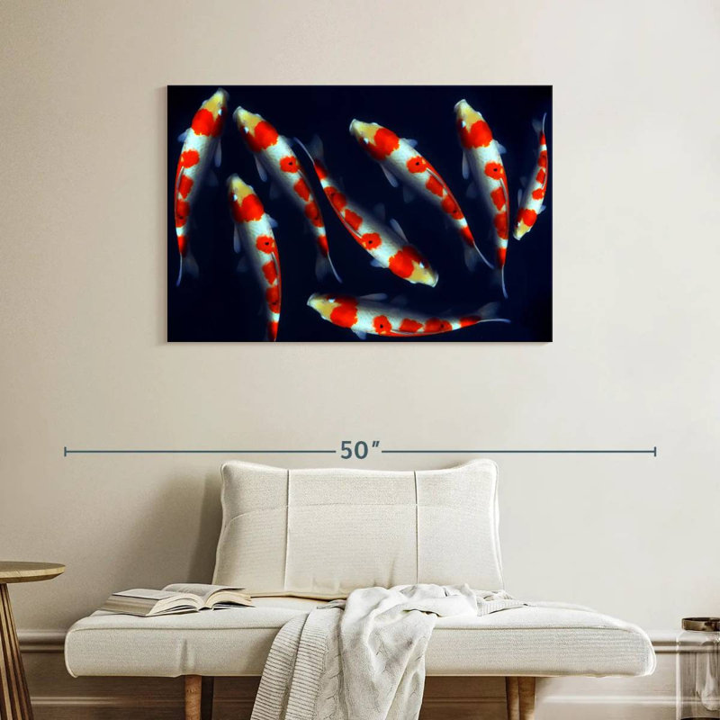 Poissons koi Brampt Sleek, H 26 po x l 39 po