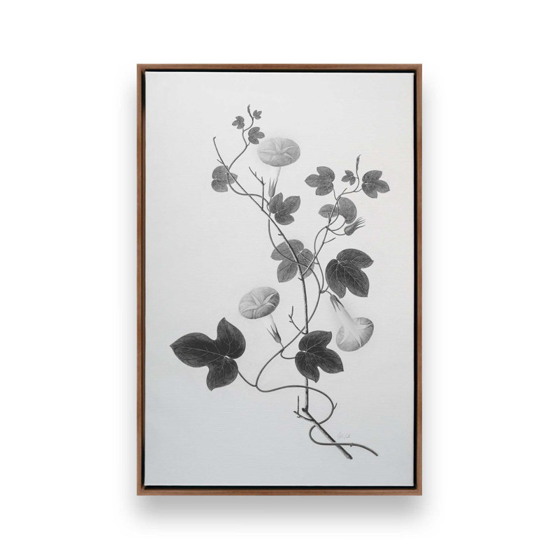 «Botanical VI» par Deborah Revell, reproduction d'art sur toile, H 36 po x l 24 po, Brun, Cadre flottant