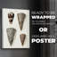 Collection Cone Shell I - impression sur toile seulement - non encadrée-1513452379