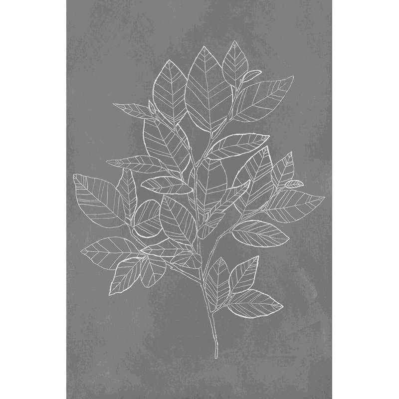 Lin botanique gris Paynes, H 12 po x l 8 po