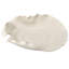 Whisper Porcelain Bowl, White