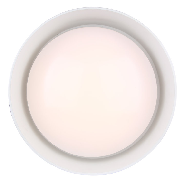 LED Flush Mount