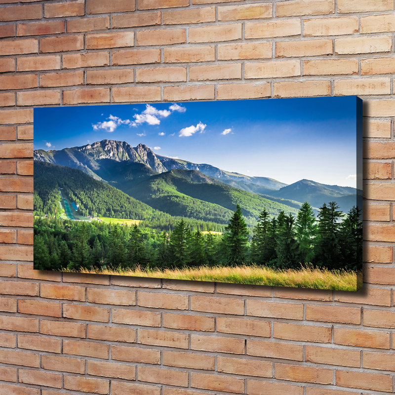 Ski Jump In The Tatras - Wrapped Canvas Print