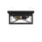 Glass Flush Mount