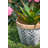 Pot Planter