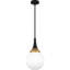 Luminaire suspendu noir mat 1 lumière Carlysle